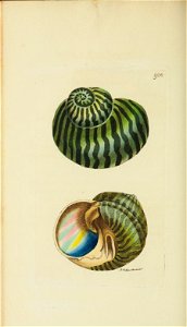 n123_w1150