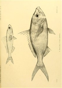 n188_w1150
