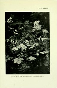n484_w1150