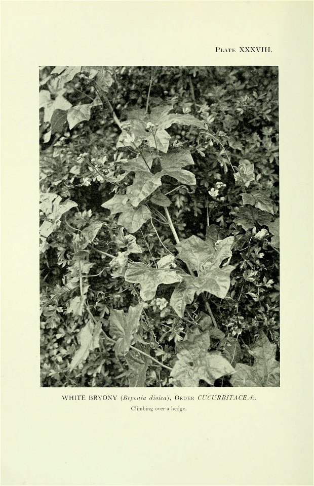 n341_w1150