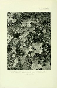 n341_w1150