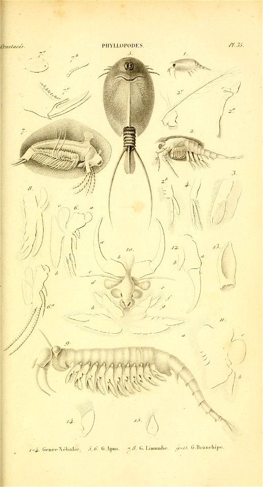 n112_w1150