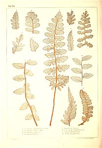 n495_w1150