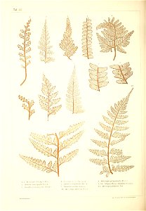 n465_w1150