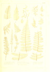 n372_w1150