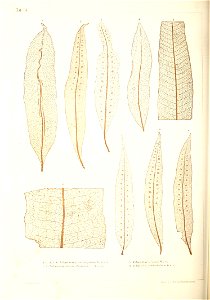 n357_w1150