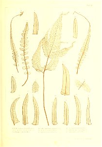 n434_w1150