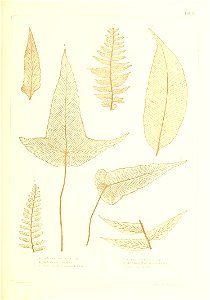 n404_w1150