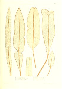 n326_w1150