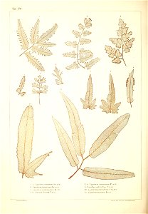 n493_w1150