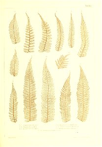 n478_w1150