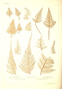 n463_w1150