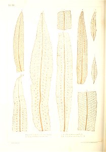 n355_w1150