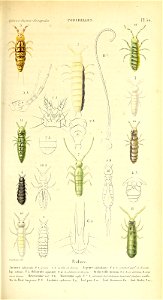 n504_w1150