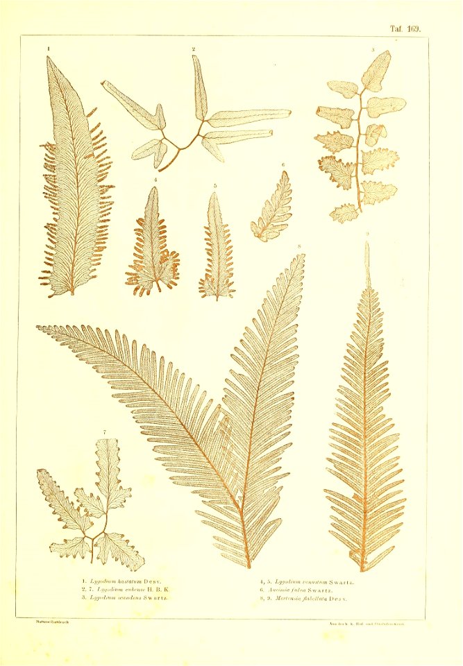n492_w1150