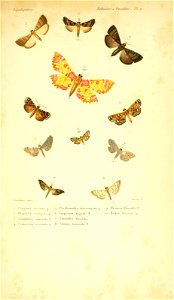 n112_w1150