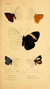 n102_w1150