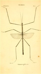 n832_w1150
