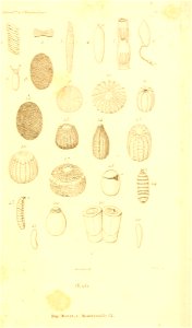 n46_w1150