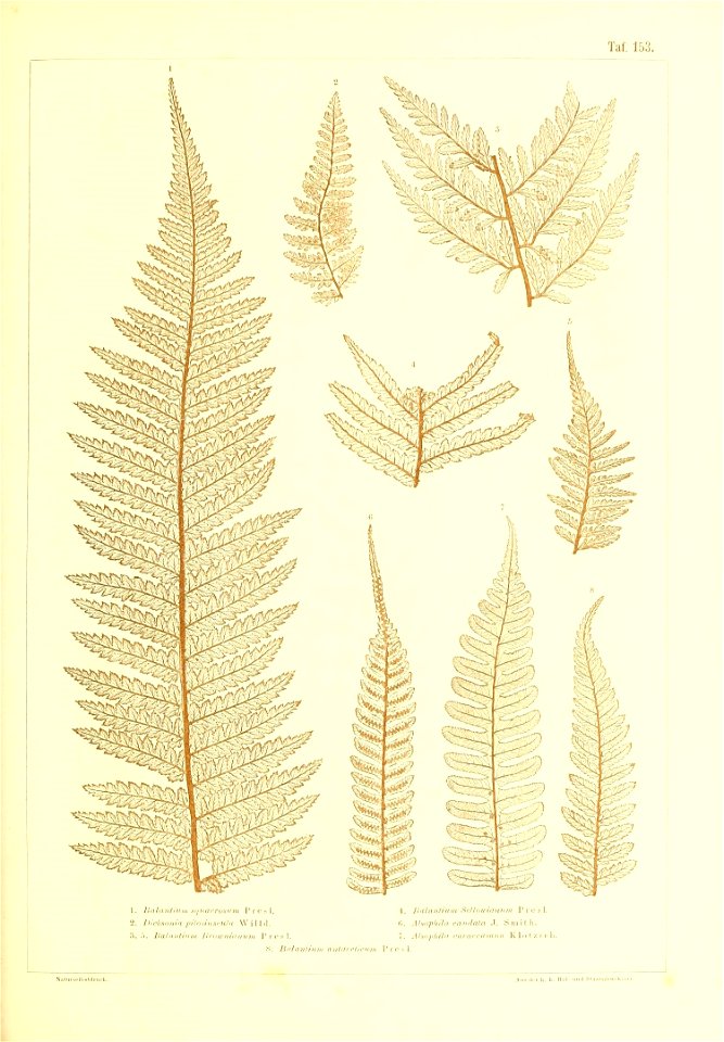 n476_w1150
