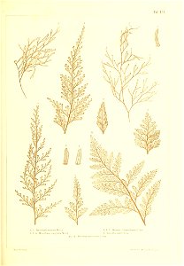 n460_w1150