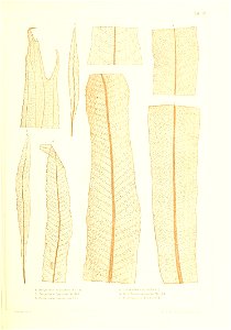 n352_w1150
