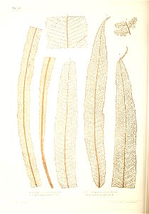 n351_w1150
