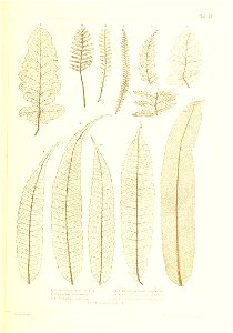 n336_w1150