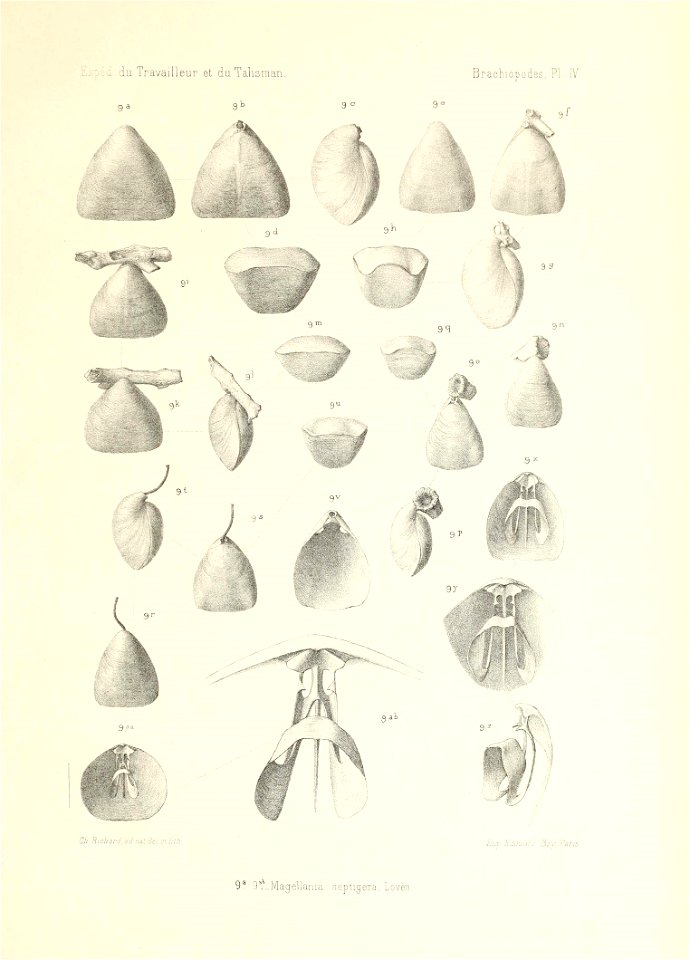 n156_w1150