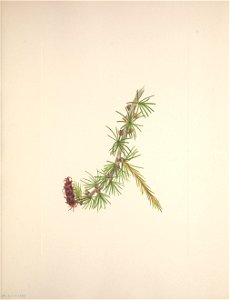 n256_w1150
