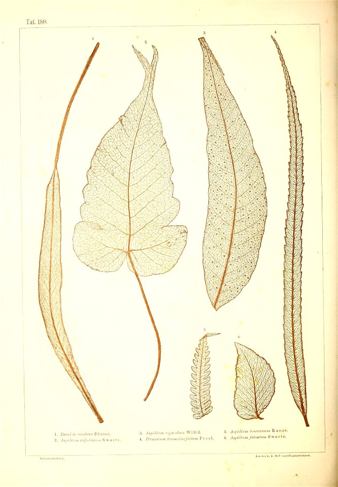 n503_w1150
