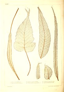 n503_w1150