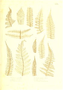 n428_w1150