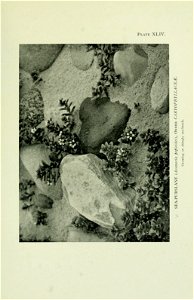 n370_w1150