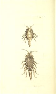 n232_w1150