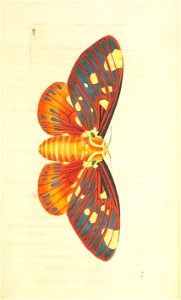 n146_w1150