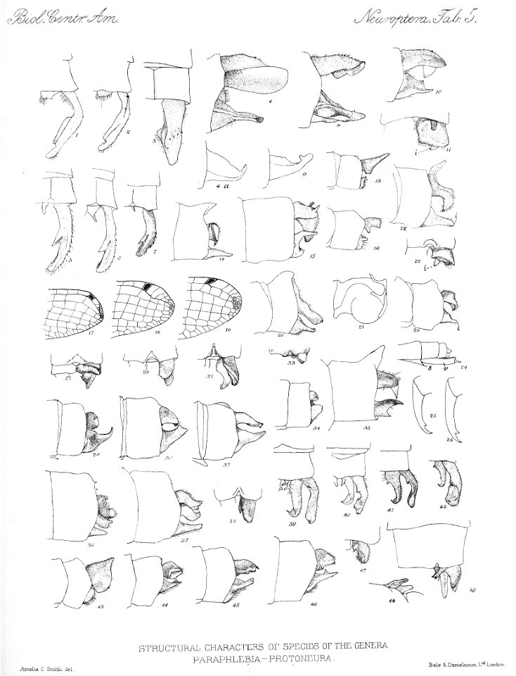 n459_w1150