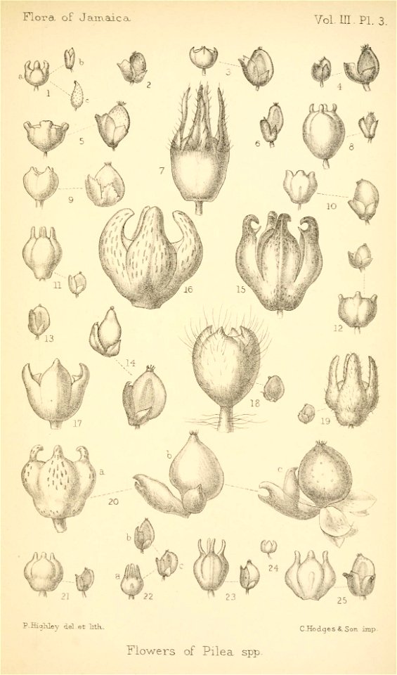 n318_w1150