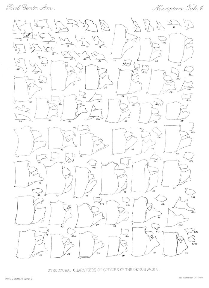 n457_w1150