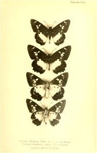 n278_w1150