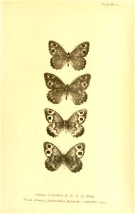 n248_w1150
