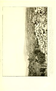 n98_w1150