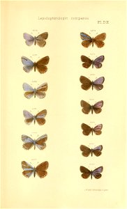 n692_w1150