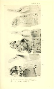 n262_w1150