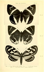 n154_w1150