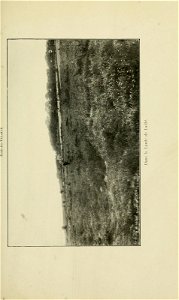 n186_w1150