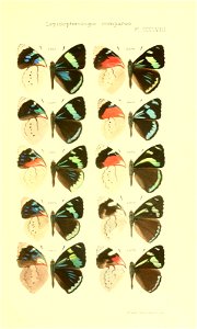 n496_w1150