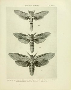 n122_w1150