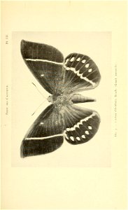 n152_w1150