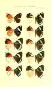 n494_w1150